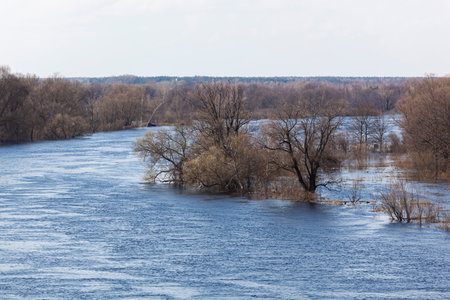 The spring river turns to the right. Bare trees stand in blue water against a blue sky. View from...