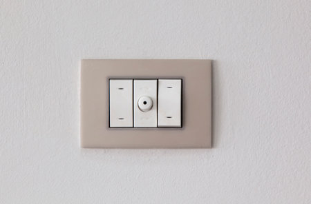 European style wall light switch on a white background. Three sections and dimmer control. Space for...