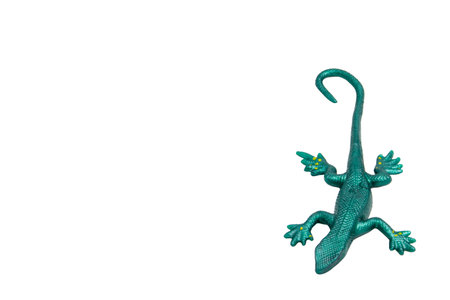 Green rubber lizard toy, top view, isolated on white background. Playful and fun, perfect for children's designs, educational materials, or toy store ads.の写真素材