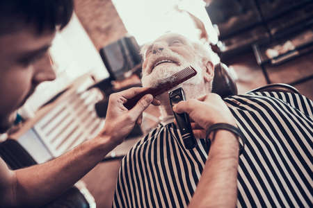 Stylist trims grandfathers beard in the armchair.の写真素材