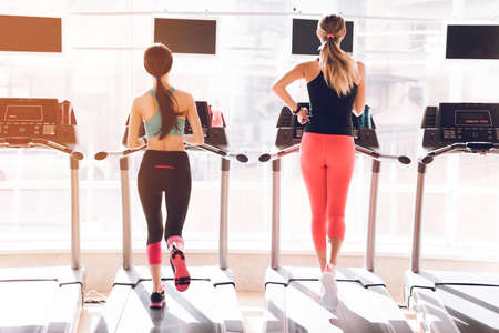 Girls run in the gym on treadmills together.の写真素材