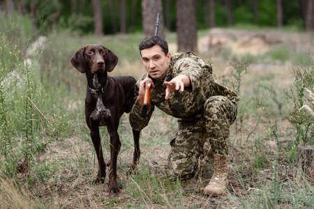 Rabbit Hunt Dog Going to Chase Animal in Forest.