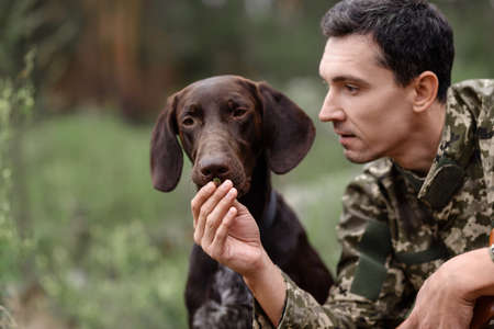 Hunter Gives Dog to Take Smell in Summer Forest.の写真素材
