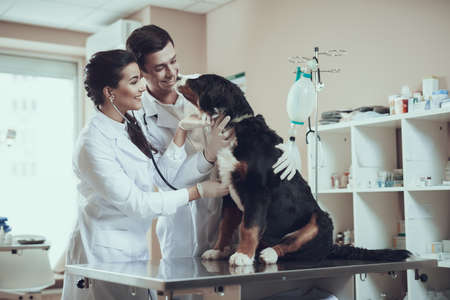 Man looking at a sick dog in the clinic.の写真素材
