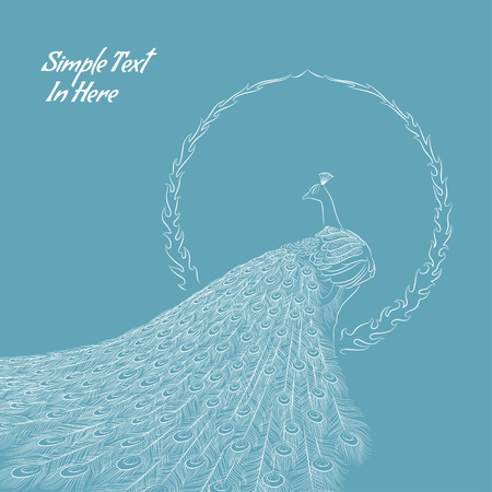 Line drawing of peacock  Vector illustration  File is layered  High res jpeg included のイラスト素材