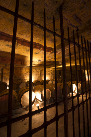 Wine cellar in underground stone quarryの写真素材