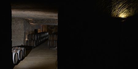 Barrels in Wine Cellar-Bordeaux Wineyard