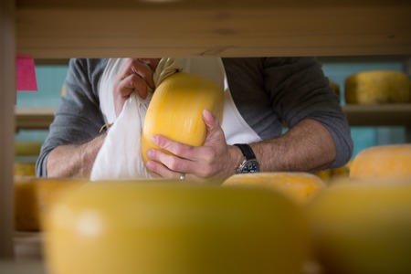 Cheese maker cleaning cheeses in his workshopの写真素材