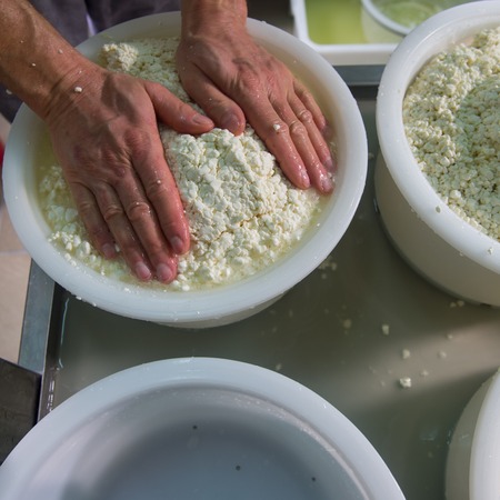 Cheesemaker boiling milk into the mixing pot for making cheese