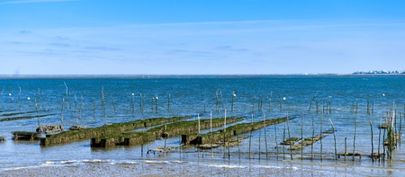 Growing oysters at low tide at the port of Arcachon, Franceの写真素材