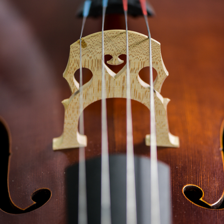Cello strings closeup in violin maker worshopの写真素材