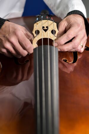 Craftsman working in workshop lutemaker, Violin maker