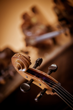 Craftsman working in workshop lutemaker, Violin makerの写真素材