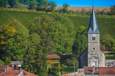 Champagne vineyards in the Cote des Bar area of the Aube department near Rizaucourt-Buchey, Champagne-Ardennes, France, Europeの写真素材