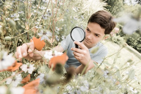 Boy looking at flower through magnifying glass in gardenの写真素材