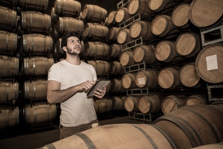 Winemaker counting the barrels with a tablet in a large storage cellar, Bordeaux Vineyard, France