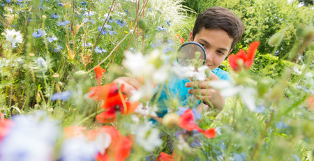 Boy looking at flower through magnifying glassの写真素材