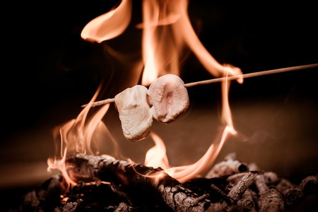 Close-up of marshmallows roasting in campfire in forestの写真素材