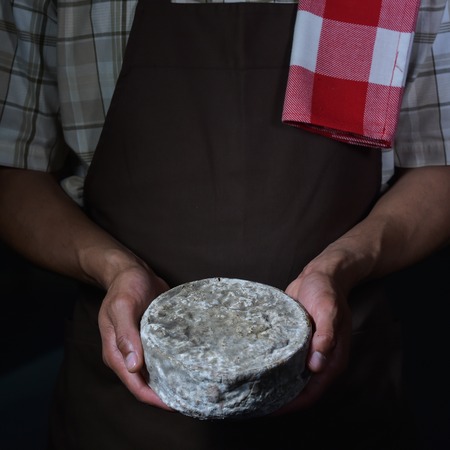 French tomme cheese in the hands of a cheesemaker, Studio shootの写真素材