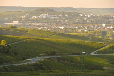 Champagne vineyards in Marne department, Champagne-Ardennes, France, Europe