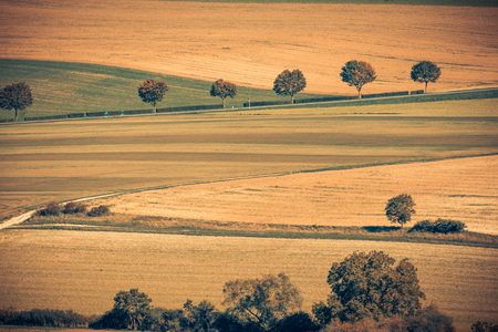 Brown Fields Landscape Trees Champagne Marne Europeの写真素材