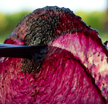 Aeration of the wine during the winemaking, Bordeaux Wineyard
