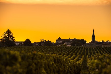 Saint Emilion, Vineyard Sunrise, Bordeaux Wine, Franceの写真素材