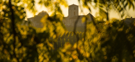 Saint Emilion, Vineyard Sunrise, Bordeaux Wine, Franceの写真素材