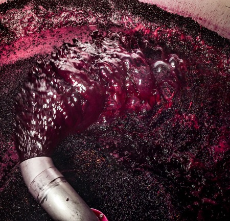 Winery producing wine, Grape ju in tank, Bordeaux vineyard