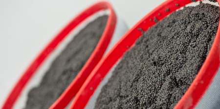 Caviar processing plant, close-up of sturgeon eggs, Europeの写真素材