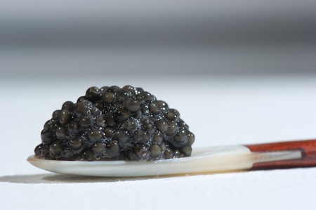 Fish's eggs in a spoon, Estugeon eggs, Europe