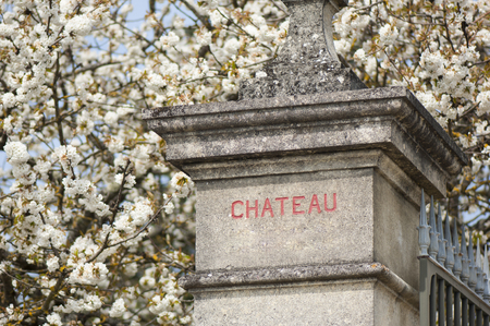 Vineyard and Chateau, Bordeaux, Aquitaine, Franceの写真素材