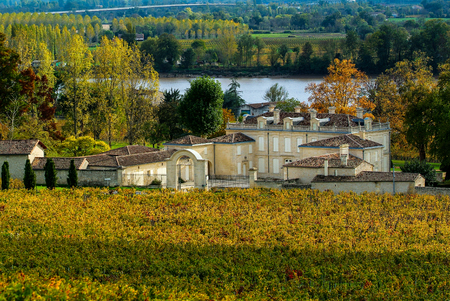 Fronsac Vineyard landscape, Vineyard south west of France, Europeの写真素材