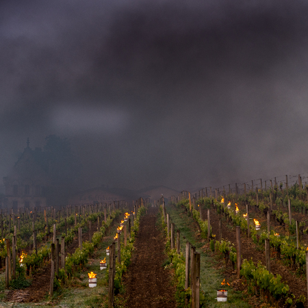The Bordeaux vineyards affected by a devastating frost on Thursday, April 27, 2017, the last dating back to April 1991.Torshes are depolyzed in the wineyards to warm the atmosphere.の写真素材