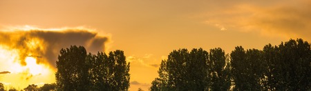 Sunset / sunrise with clouds, panoramic, Treesの写真素材