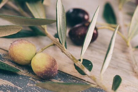 Olive branch with green olives on a wooden tableの写真素材