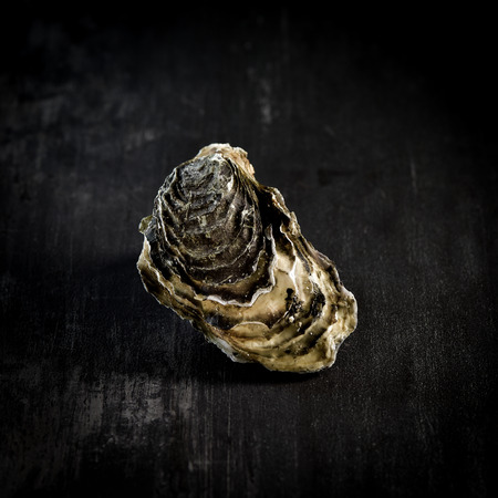 Raw oysters on the graphite board, Franceの写真素材