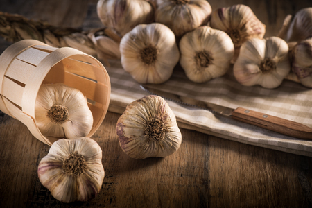 Garlic Cloves and Garlic Bulb on vintage wood background, Franceの写真素材