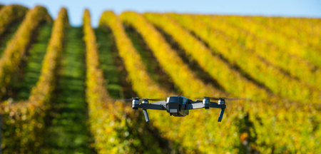 Drone flying above beautiful landscape with vineyards, Franceの写真素材
