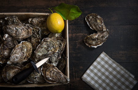 Raw oysters with lemon on wood board and bottle of wine and glass, Franceの写真素材