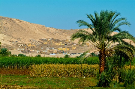 Egypt, Nile Valley, Luxor area, Thebes, Valley of the Noblesの写真素材