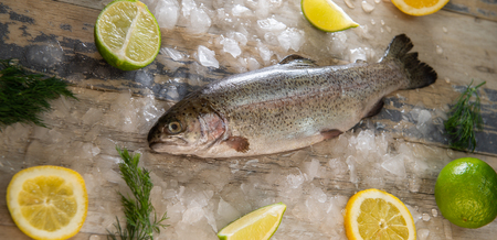 Preparation of trout, sliced lemon and green rosemary. Cooking food on a wooden boardの写真素材