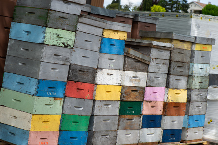 Beekeeping boxes stacked and ready to be transported, France