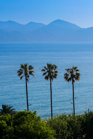 Picture of port of Cannes old city at the French Riviera, France, Europeの写真素材