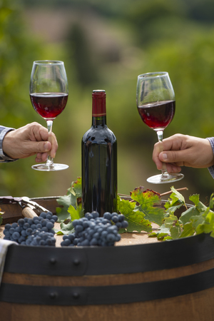 Pouring red wine into the glass, Barrel outdoor in Bordeaux Vineyard, Franceの写真素材