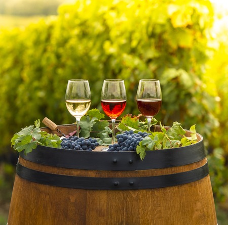Pouring red wine into the glass, Barrel outdoor in Bordeaux Vineyard, Franceの写真素材