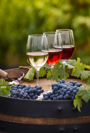 Pouring red wine into the glass, Barrel outdoor in Bordeaux Vineyard, France