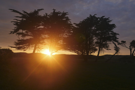 Rural floral field on sunset. natural summer background, Franceの写真素材