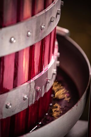 Wine mixing during fermentation process in barrel, Bordeaux Vineyard, Franceの写真素材
