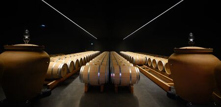 Wine cellar, amphora and barrel, Bordeaux Vineyard, Franceの写真素材